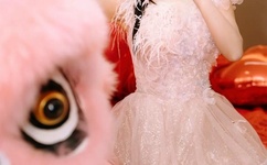 狼群资源在线观看免费完整